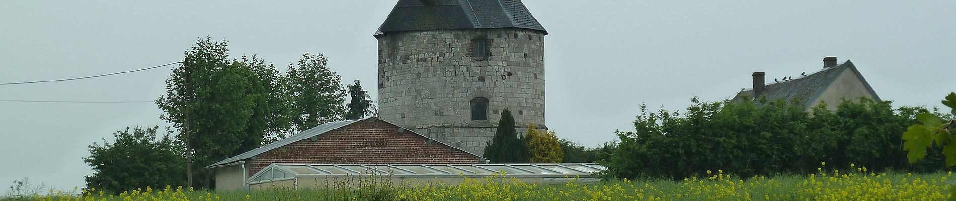 Tour Zu Fuß Vauchelles-lès-Authie - Circuit du Pigeonnier au Moulin - Photo