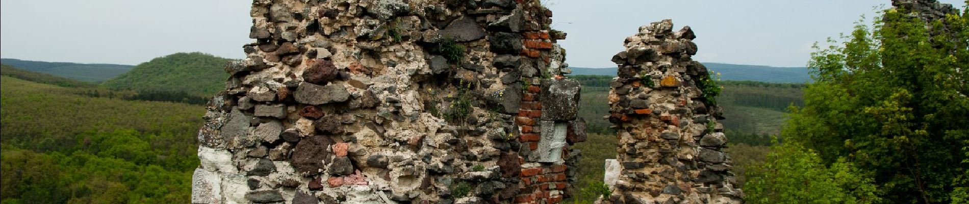 Excursión A pie Buják - Bujáki Erdészeti Tanösvény - Photo