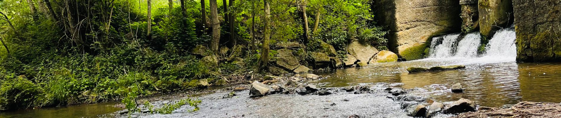 Trail Walking Thuin - La vallée de la Biesmelle à Thuin - Photo