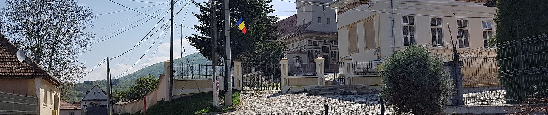 Randonnée A pied Inconnu - Turnu Roșu - Dl. Frasinul - Culmea Pietriceaua (traseul CR) - Photo