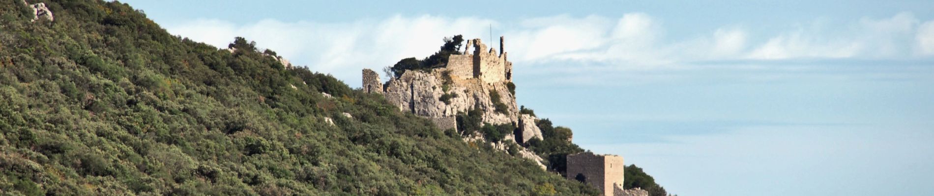 Randonnée Marche Cazevieille - le pic Saint Loup / chateau Montferrand par les crêtes  - Photo