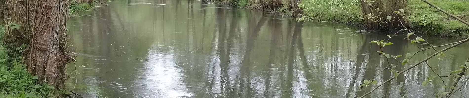 Randonnée Marche Bouvaincourt-sur-Bresle - Bouvaincour le Font de Lille  - Photo