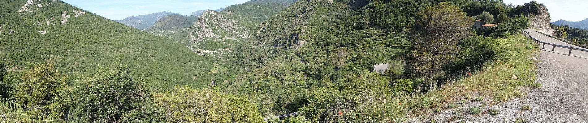 Trail On foot Sospel - Tour du mont Grazian - Photo