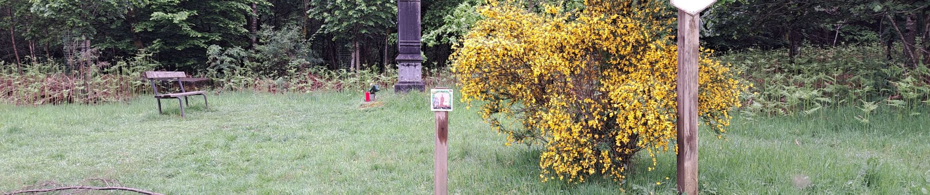 Tocht Stappen Herbeumont - Herbeumont 2 - Photo