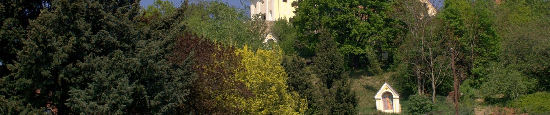 Tour Zu Fuß Hartberg - Hartberger Höhenweg - Photo