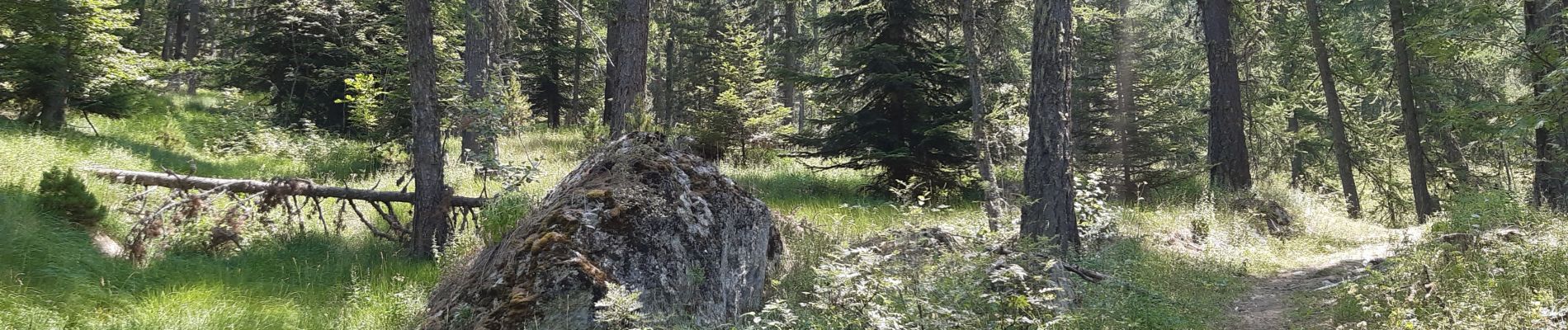 Tour Wandern Crots - boucle du lac de Lauzerot via Les Gendres . cabane à Jules . clôt Besson . lac . les Gendres - Photo