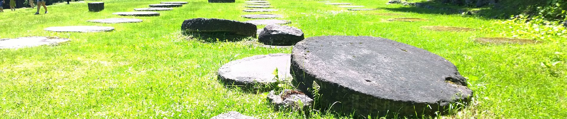 Tour Zu Fuß Unknown - Costești - Sarmizegetusa Regia - Vf. Godeanu - Photo