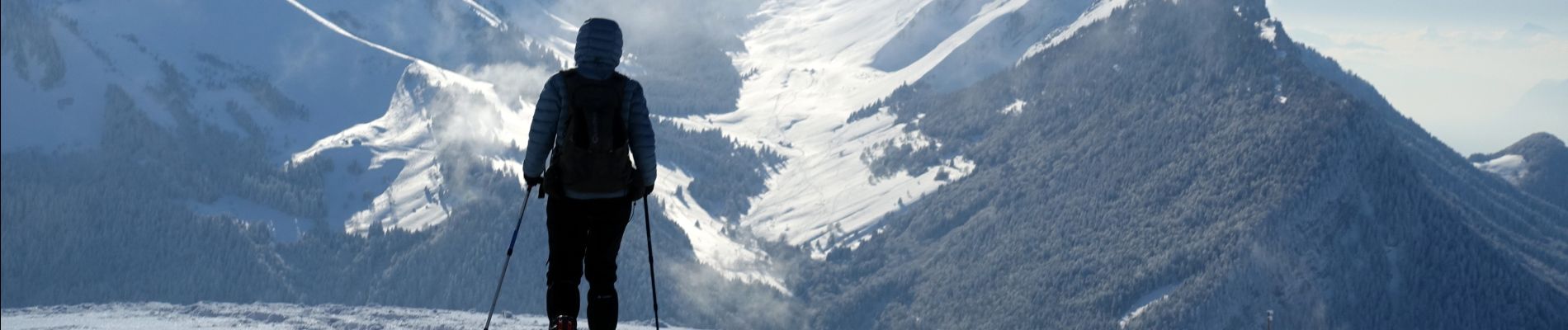 Tour Schneeschuhwandern Jarsy - 2021-01-08 - Photo