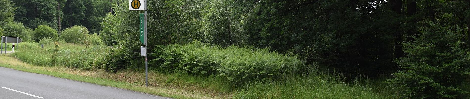 Randonnée A pied Gutsbezirk Reinhardswald - Udenhäuser Stock, Rundweg 2 - Photo