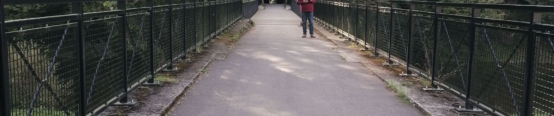 Percorso Marcia Vresse-sur-Semois - Rando au départ de Bohan  - Photo