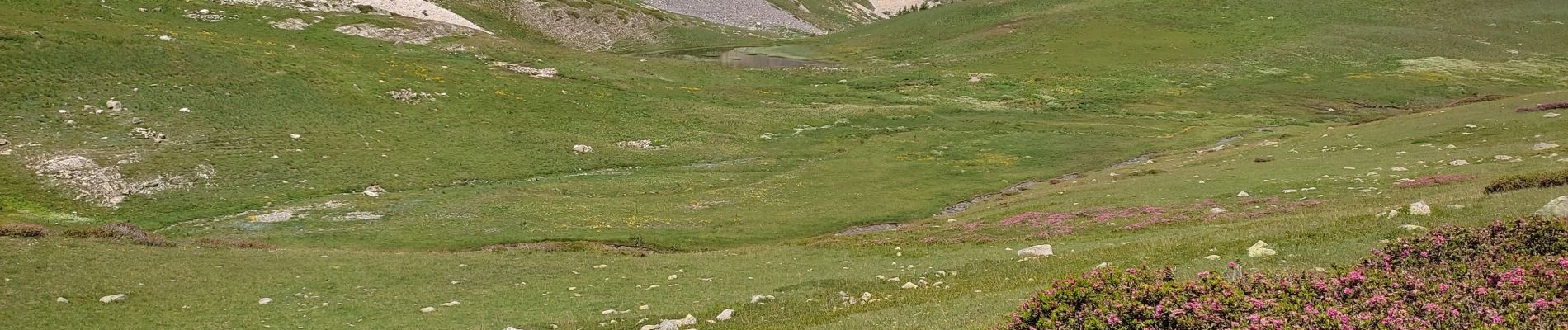 Tocht Stappen Névache - lac de Chardonnet - Photo