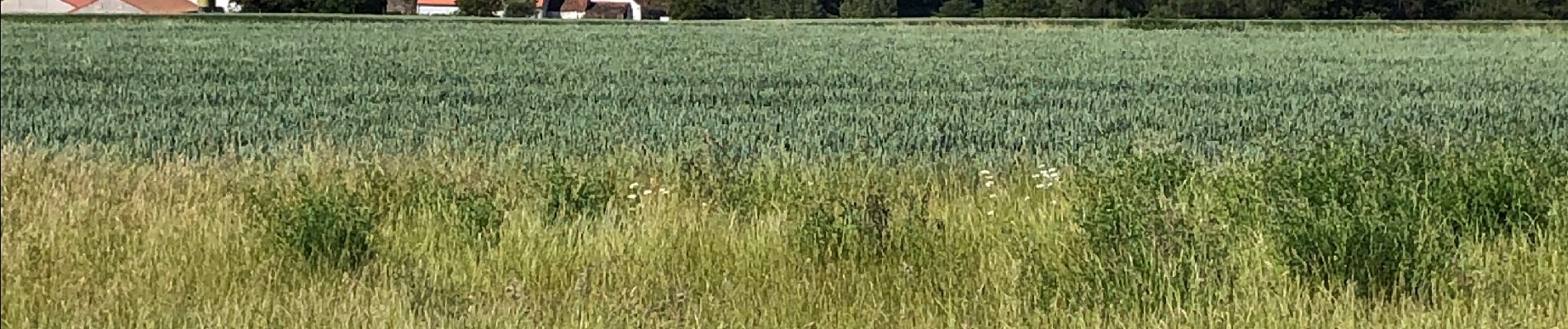 Tour Wandern Nivelles - Balade en boucle départ Monstreux - Photo