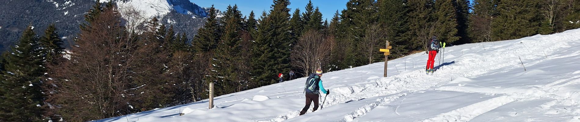 Randonnée Raquettes à neige Plateau-des-Petites-Roches - pravouta raquettes. 16,12,23 - Photo