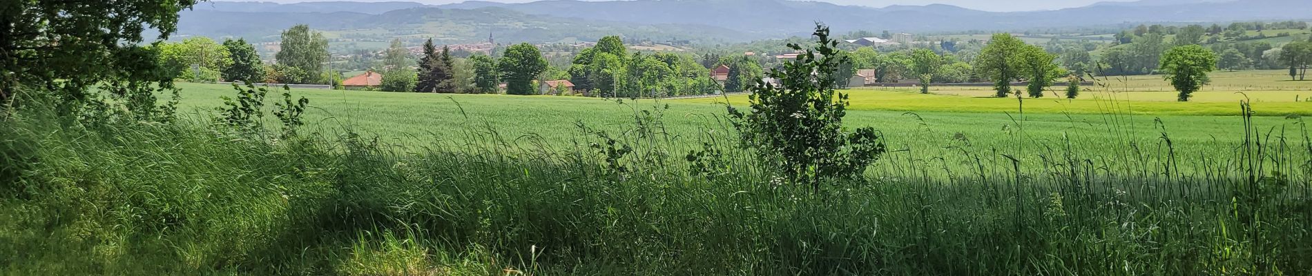 Trail Electric bike Le Puy-en-Velay - 190522 - Photo