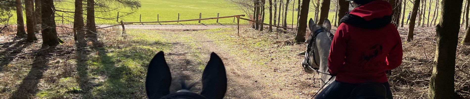 Tour Reiten Léglise - Légalise via Rancimont - Photo