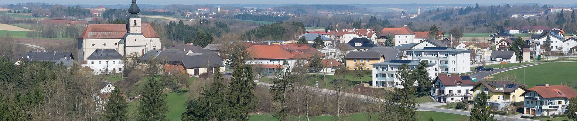 Tocht Te voet Adlwang - Waldlehrpfad Hallerwald - Photo