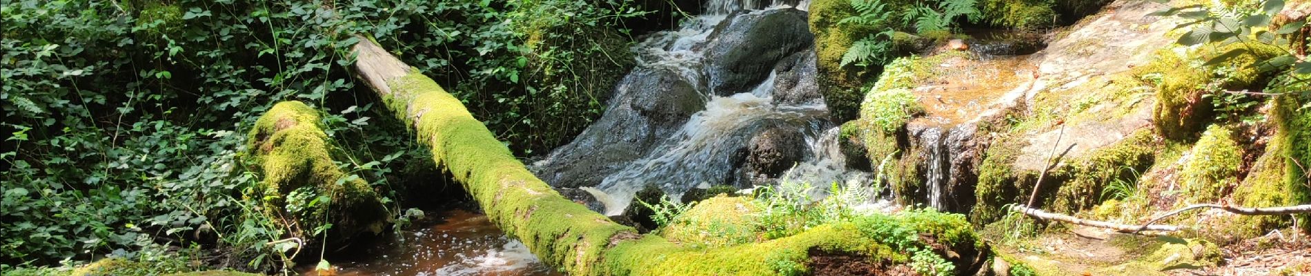 Trail Walking Saint-Martin-du-Puy - boucle lac pendant rafting - Photo