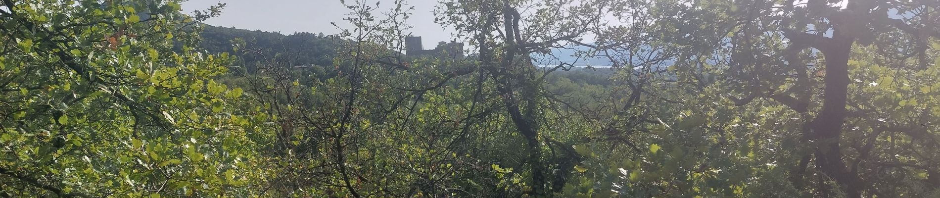 Randonnée Marche Les Tourrettes - Les Tourettes 8km5 - Photo