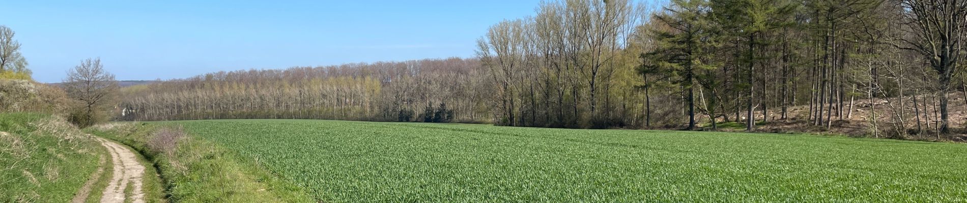 Tocht Stappen Chaumont-Gistoux - BE-Chaumont-Gistoux - Le Bercuit par Dion-le-Val - blog le bruant wallon - Photo