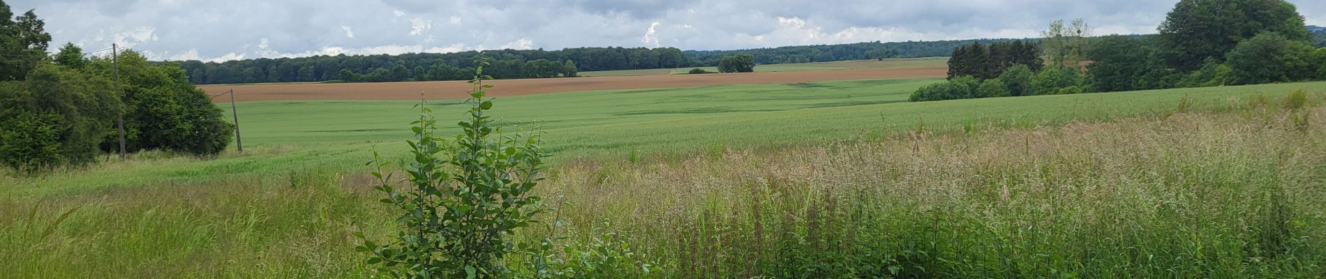 Tocht Stappen Havelange - Porcheresse en condroz  180624 - Photo