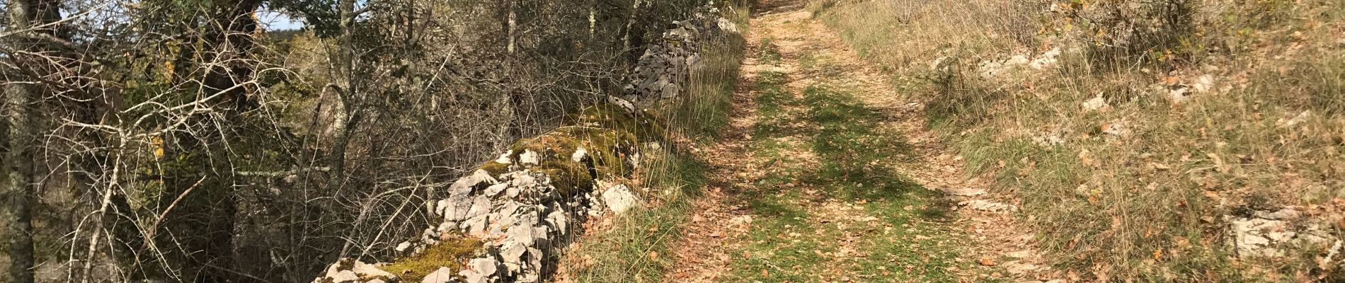 Trail Walking Montvalent - Bendou - Photo