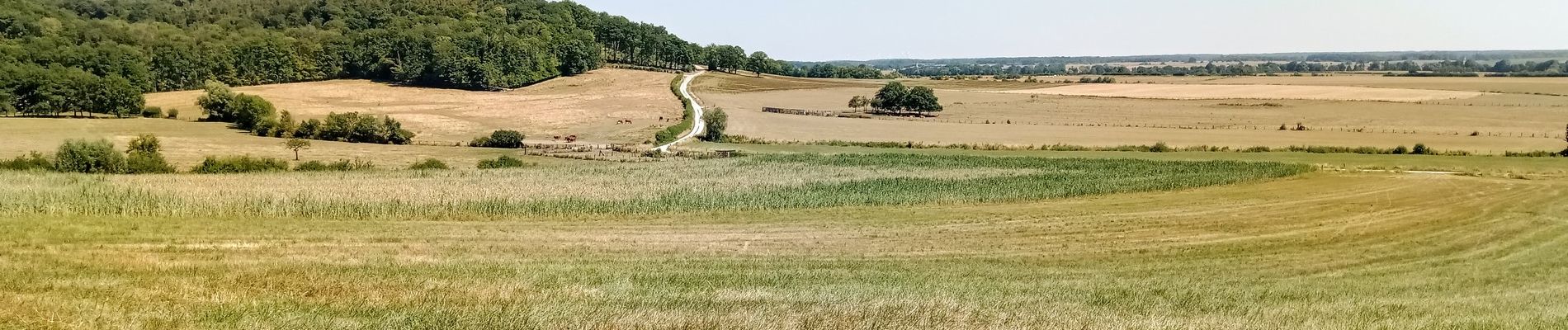 Tour Wandern Villers-en-Argonne - Villers en Argonne du 24/07/2022 - Photo