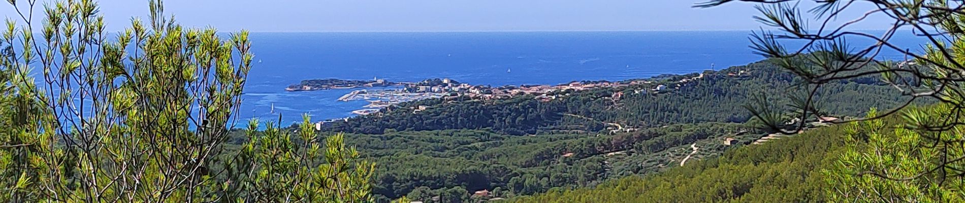 Trail Walking Sanary-sur-Mer - Tour du petit cerveau - Photo