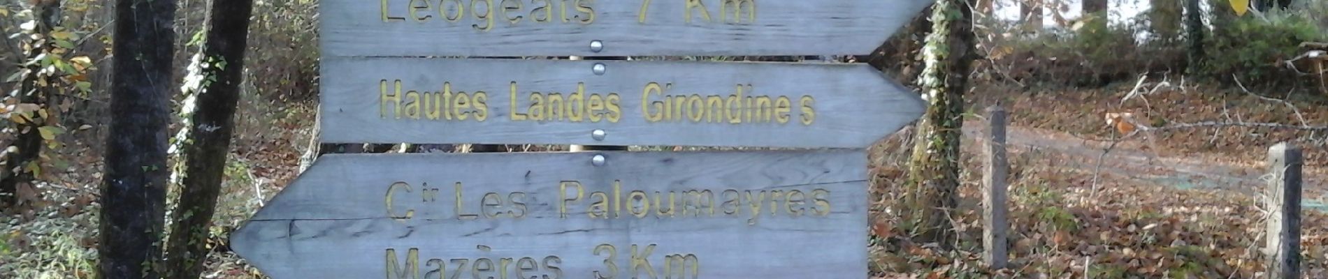 Trail On foot Roaillan - Les Gemeys : circuit départemental - Photo