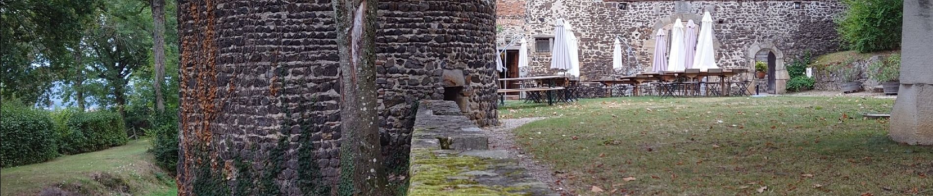 Trail Walking Marcoux - Chemin de Bélizar - Photo