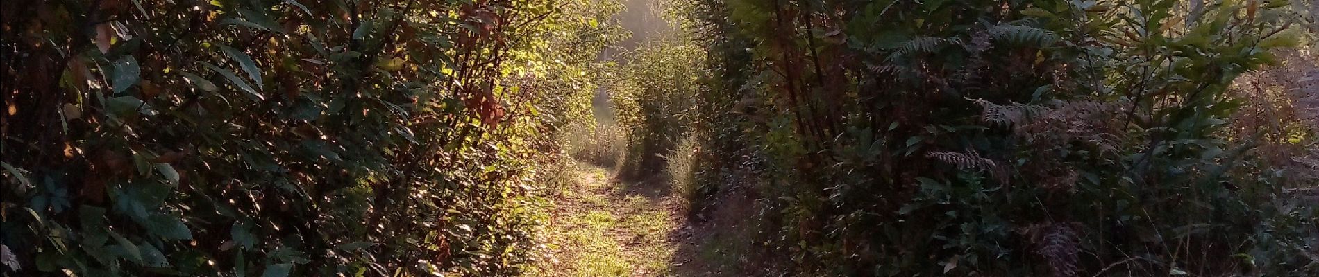 Percorso Marcia Les Eyzies - Sireuil 14,9km - Photo