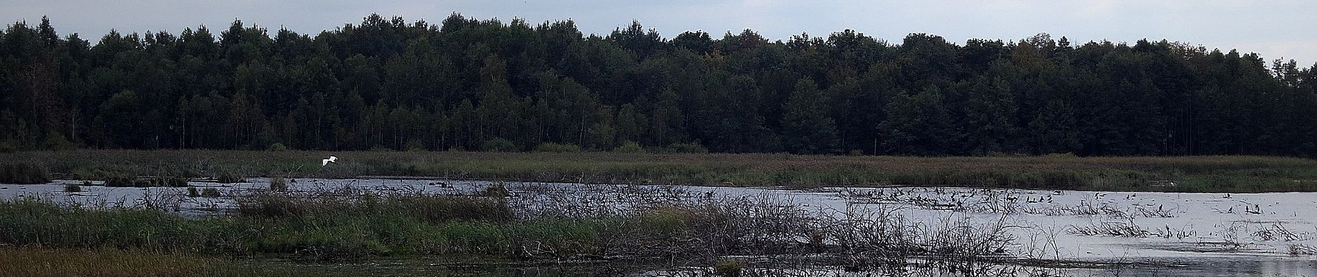 Tour Zu Fuß Unknown - Ścieżka przyrodnicza „Perehod” - Photo