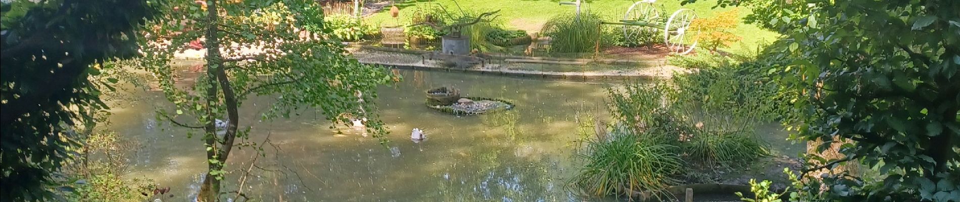 Randonnée Marche Villers-la-Ville - Balade du bois de Bérines - Photo