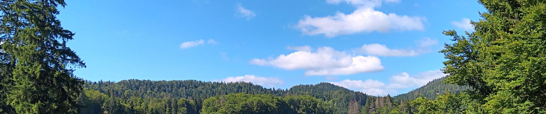 Randonnée Marche Charix - lac de genin - bretouze /  retour - Photo