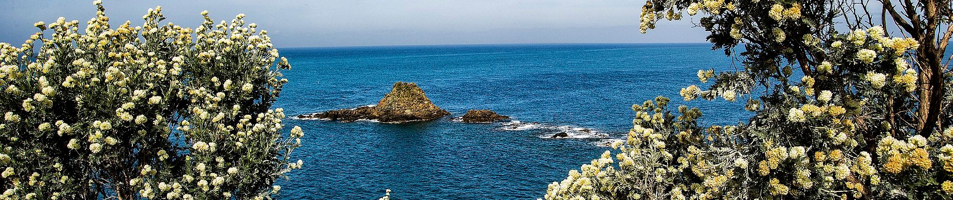 Trail On foot Piombino - IT-302 - Photo