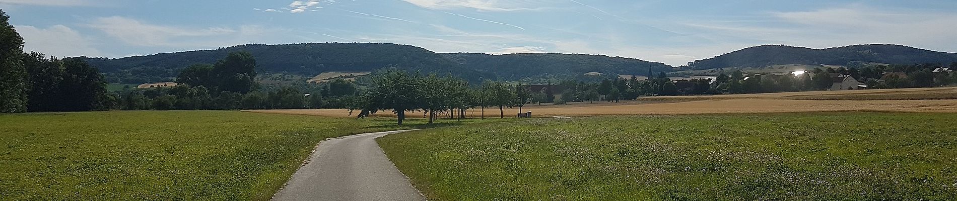 Trail On foot Großrinderfeld - Liebliches Taubertal – Rundwanderweg 8 – Ins Welzbachtal - Photo