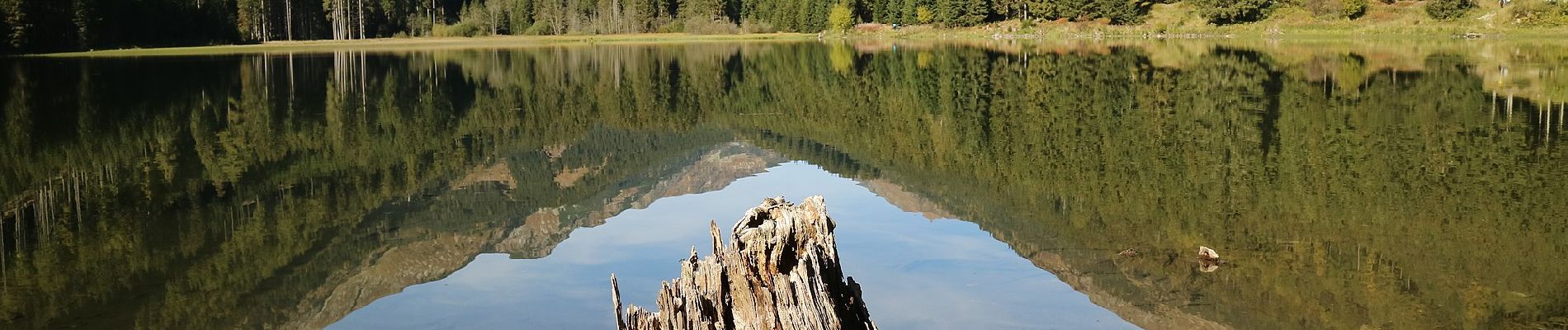 Tour Zu Fuß Gaal - Alpiner Weg Nr: 39 - Photo