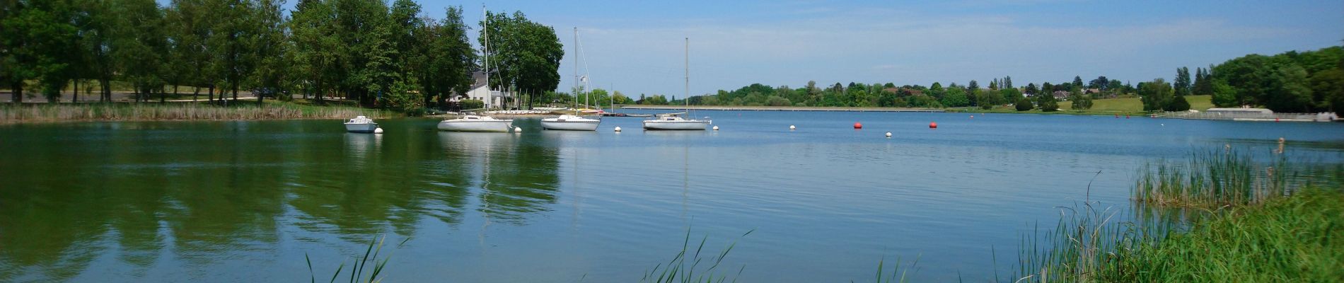 Tour Wandern Ballan-Miré - Ballan-Miré - Beau Soleil GR3 Lac des Bretonnières - 13.9km 180m 3h05 - 2022 05 15 - Photo