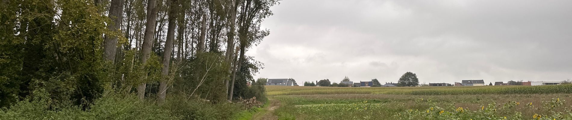 Tocht Stappen Lennik - Sint Martens Lennik 7,9 km - Photo