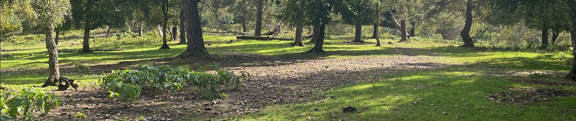 Tocht Stappen Beaumont-le-Roger - Sans nom 2 - Photo