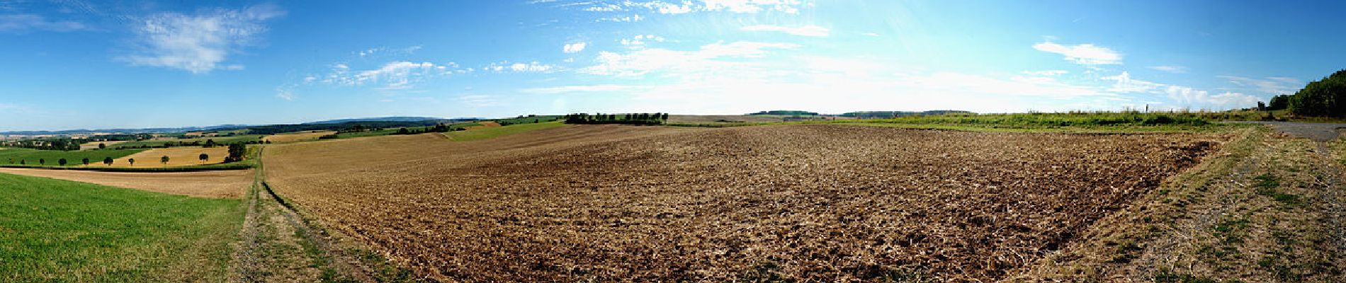 Percorso A piedi Ober-Ramstadt - Rundwanderweg Geisenwald - Photo