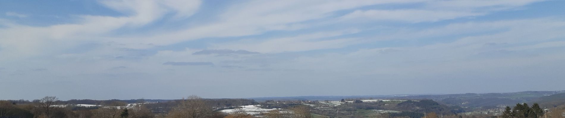 Tour Wandern Theux - ferme haut marais . vert Buisson . croix papet . les cours . farineux  - Photo