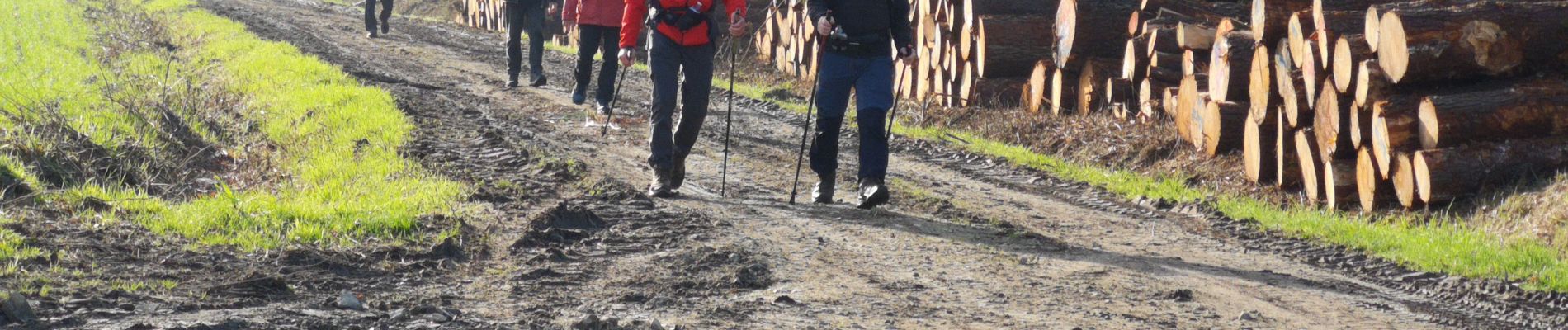 Tocht Stappen Nivillac - Saint Criq rives gauches de la Vilaine  - Photo