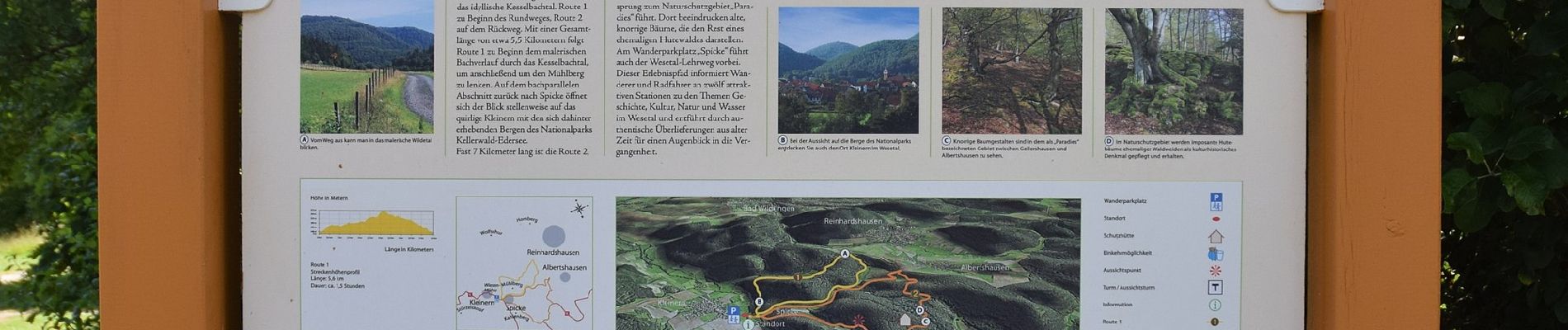 Tour Zu Fuß Edertal - Spicke - Route 1 - Photo