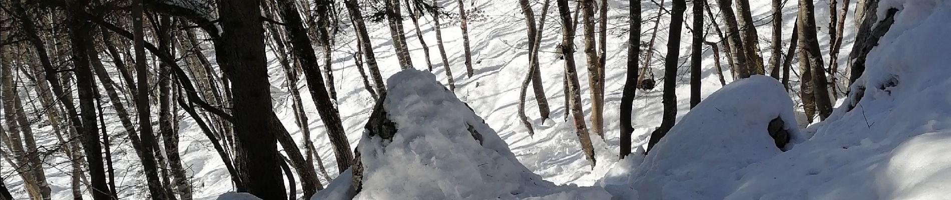 Randonnée Marche Veyrier-du-Lac - Mont Baret - Photo