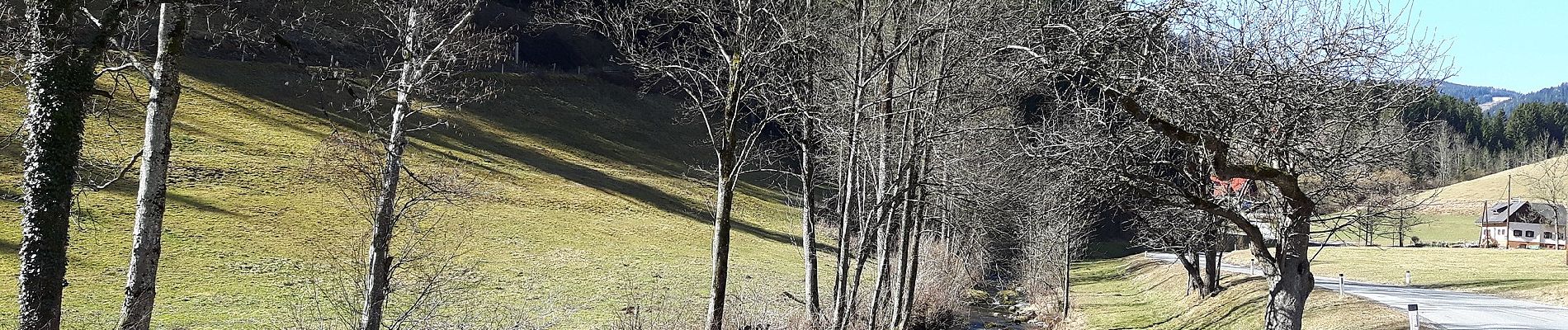 Randonnée A pied Kainach bei Voitsberg - Wanderweg 60 - Photo