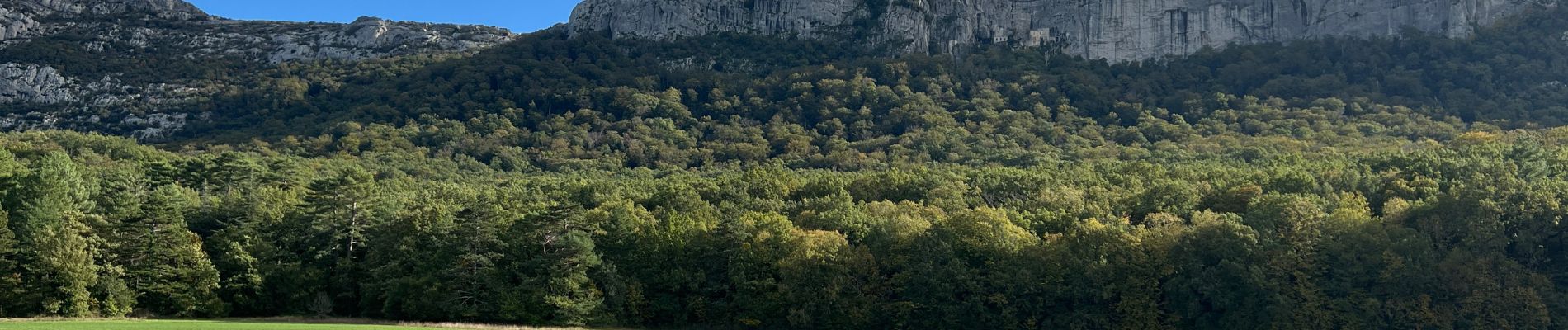 Trail  Plan-d'Aups-Sainte-Baume - Randonnée Chantal  - Photo