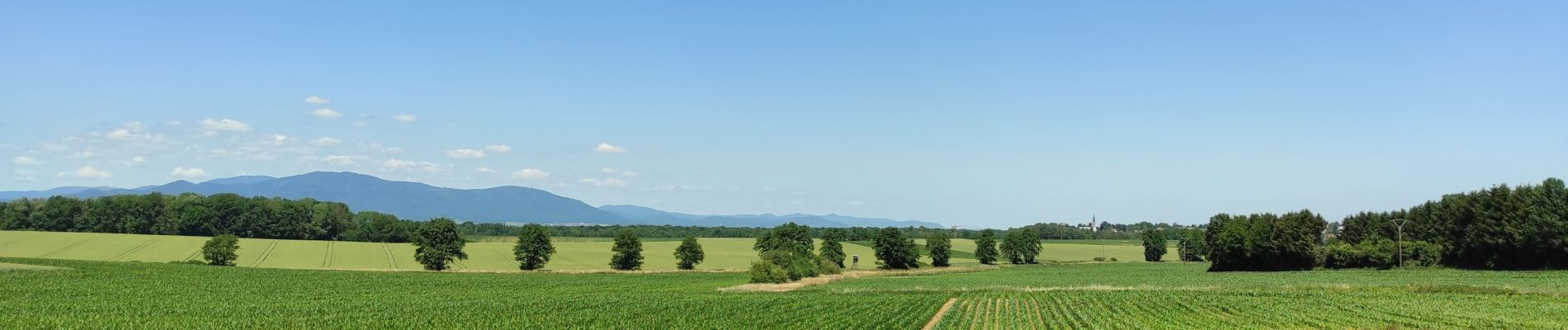 Randonnée Marche Heimsbrunn - Heimsbrunn Hocha Froeningue Galf retour  - Photo