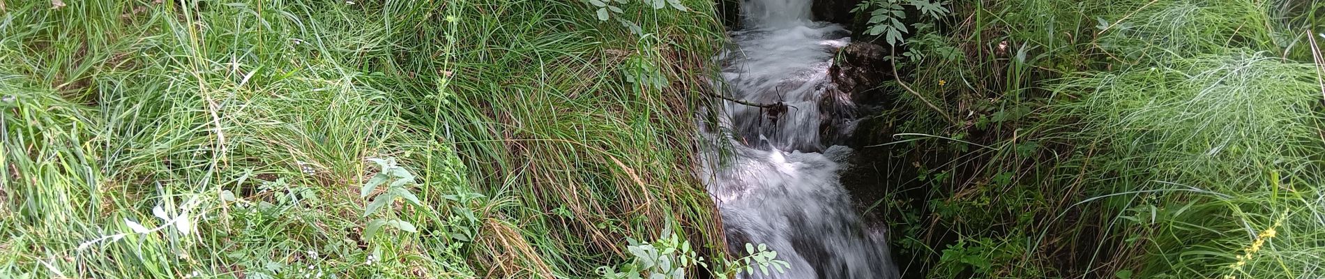 Tocht Stappen Puy-Saint-Eusèbe - canal de reyssas jusqu'aux Touisses / retour par le GR Serre-Ponçon via ravin de la pisse  - Photo