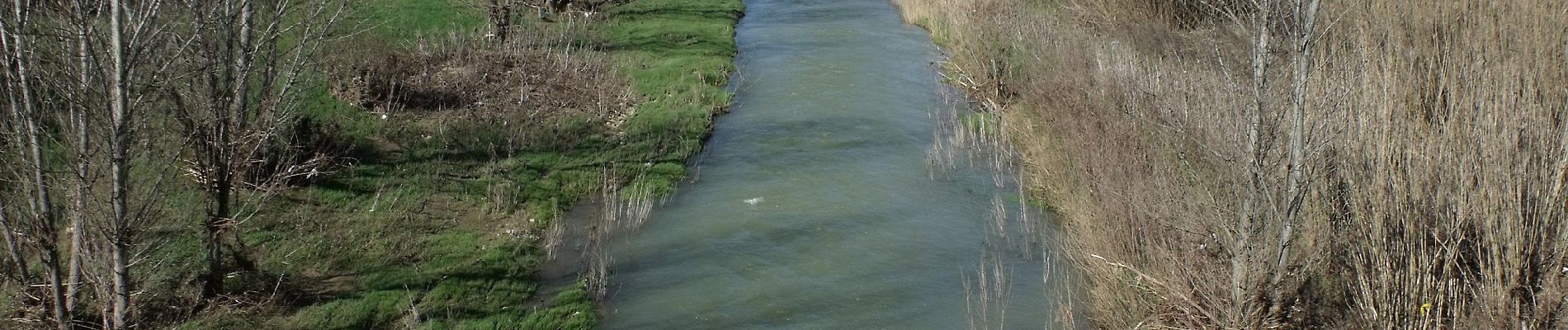 Percorso A piedi Montespertoli - Dolce campagna antiche mura 4 - Photo