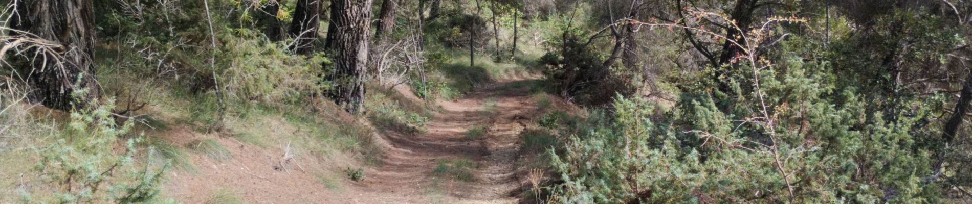 Excursión Bici de montaña Bras-d'Asse - petit tour  - Photo